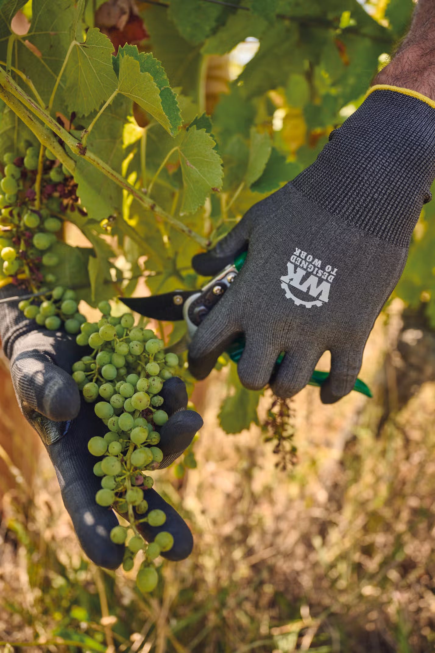 CutTouch Pro – Gants tactiles de protection anti-coupures